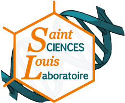 Lycée Saint louis